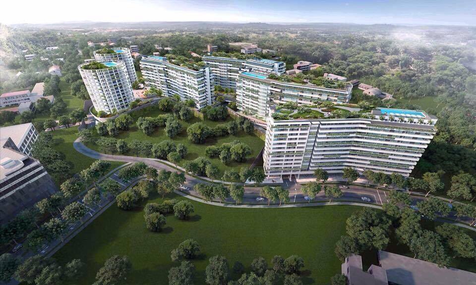 12966659_930852477013860_1419810409_n_1