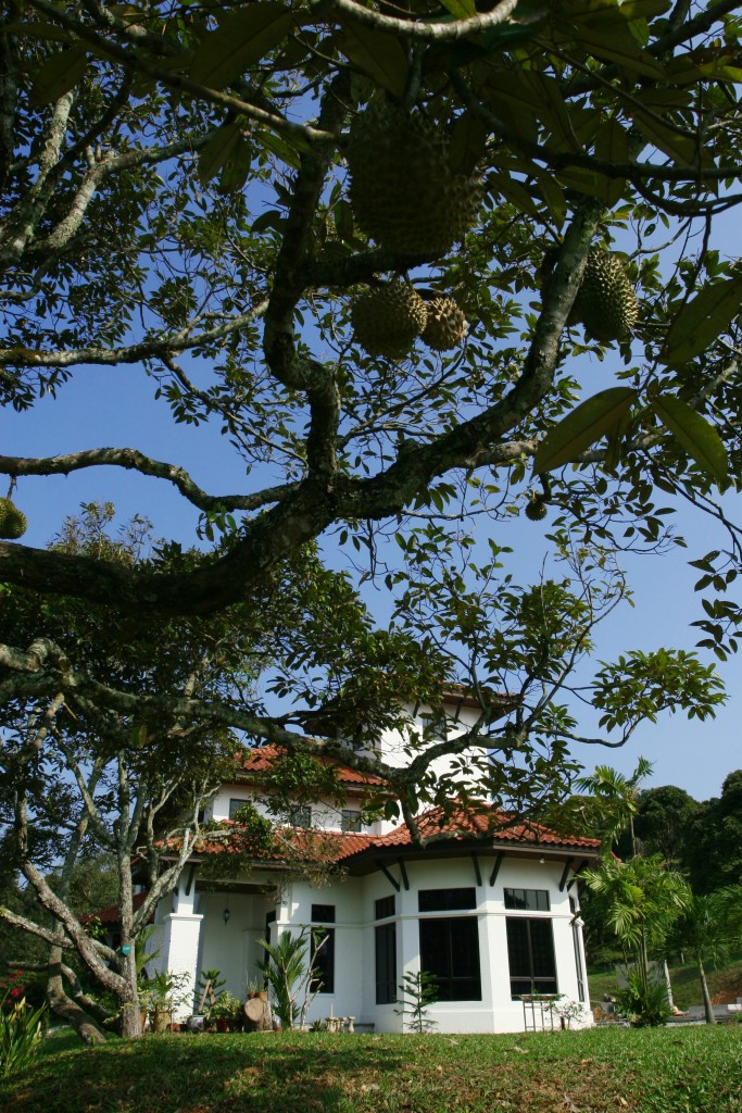 Planters’ Haven: An exclusive residential community that offers peaceful living, yet close to urban centres.