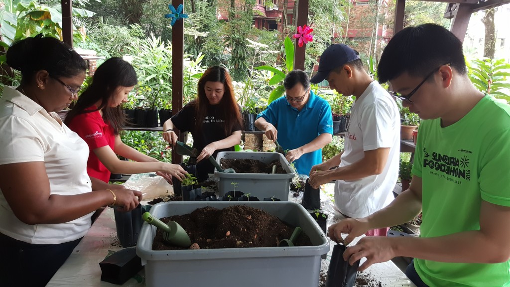 The first step for a greener Earth is a greener household.