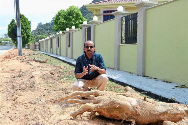 Rashidi beside the trunk of one of the five mango trees that were cut down at the now bare road reserve.