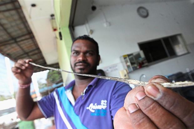 metd_sg_1309_SHERAT040816_Pg4_sheila_2