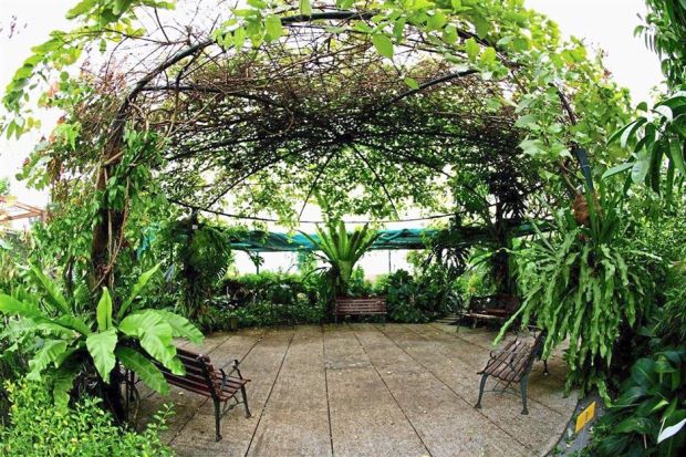 One Utama Shopping Centres Secret Garden, perched on the rooftop of the seven-storey mall. — filepic