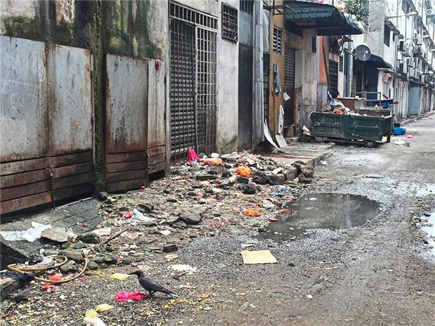 metd_sg_1310_pnflod200916_pg2_sheila_3