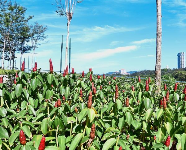 metd_2102_8katsky_kkeeran_3