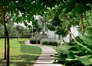 Sejati Residences boasts a central linear park with over 1 ,200 mature trees surrounded by an 8km jogging and cycling track that stretches across the whole development