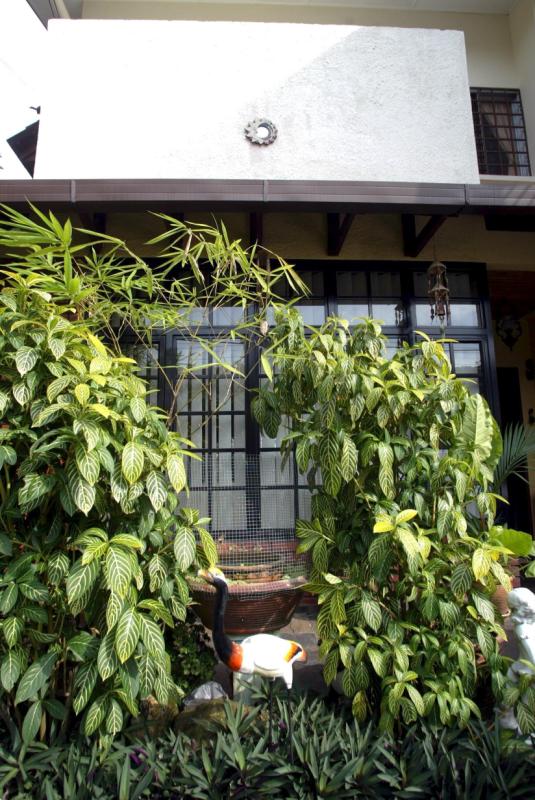 在庭院的植物避免严重遮挡照射房屋的阳光,否则有机会造成孤阴煞问题;如果所种植的树木是属于藤类植物,则避免房屋被缠绕上,否则容易会有财富不聚,疾病丛生问题。