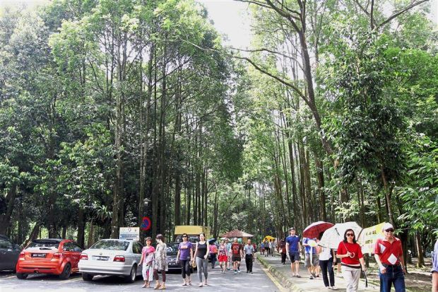 TTDI residents out in force at Taman Rimba Kiara to show support for protecting the park from further development.