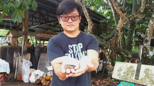 Jun Hong holding up a toad at Happy Farm, which his family owns.