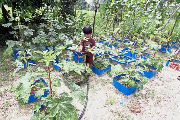 Both the adults and children are trained to look after the gardens.