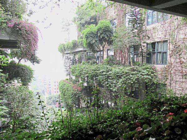 More green: Vertical greening with a variety of foliage at Country Garden’s headquarters.