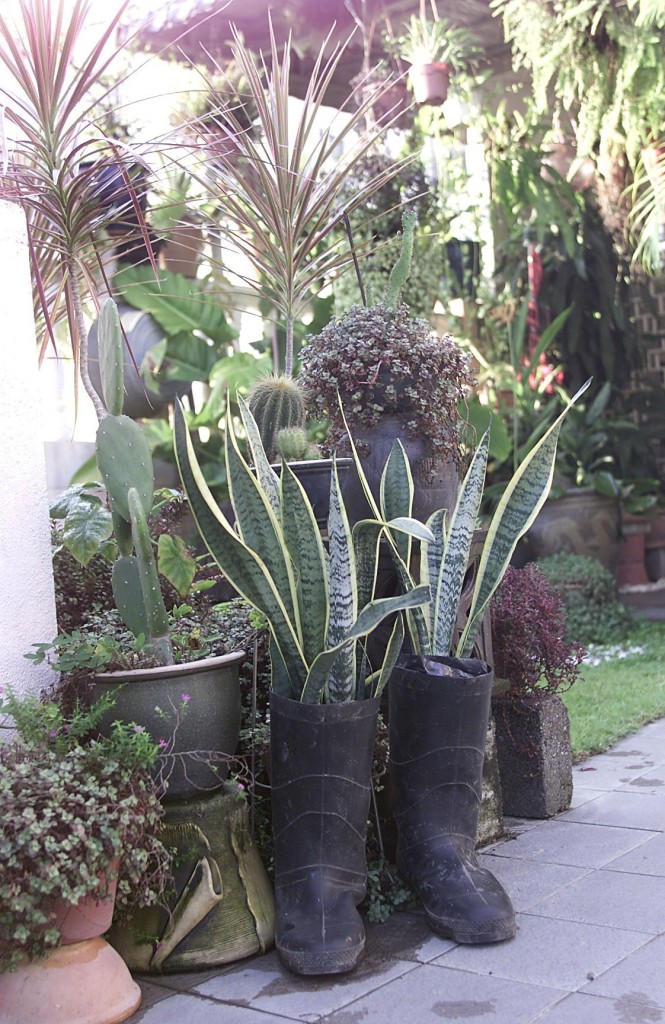 Art teacher takes his work back home