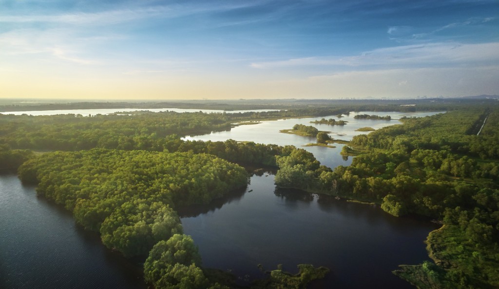 Paya Indah Wetland