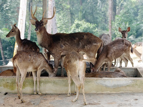 Taman Botani Negara,Shah Alam
