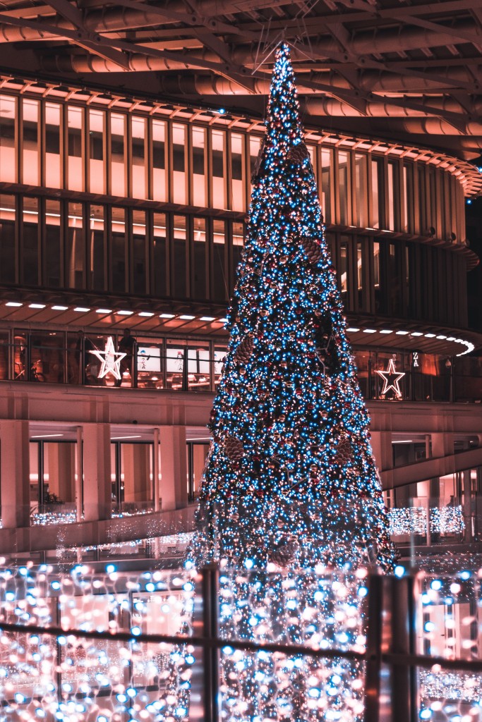 This tree would probably not fit into the average living room.