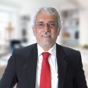 Asian Land Realty Sdn Bhd Director Warrick Singh