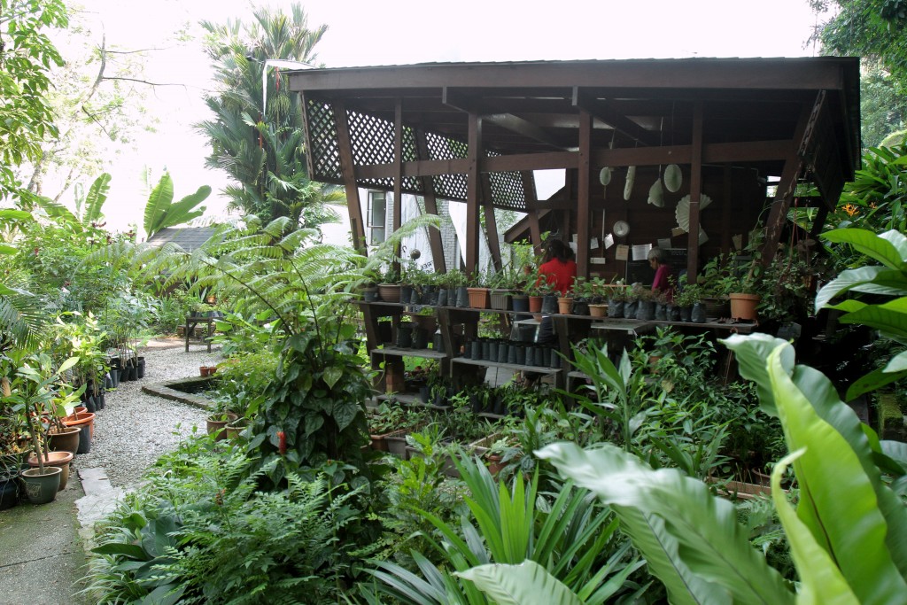 Free Tree Society Bangsar for Top 10 Free Things to do in Klang Valley.