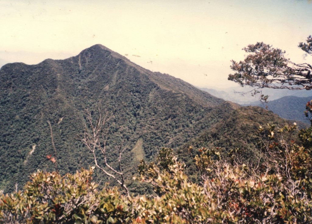 Scanned Pix - Staric A view of the Gunung Korby peak from Gunung Gayong. Pix by: Foong Thim Leng Date: 25.03.1991