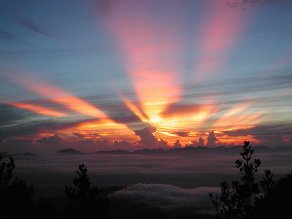 Sunrise-seen from summit of Gunung Chamah *** Local Caption *** A pink, red and gold sunrise seen from summit of Gunung Chamah, Kelantan.