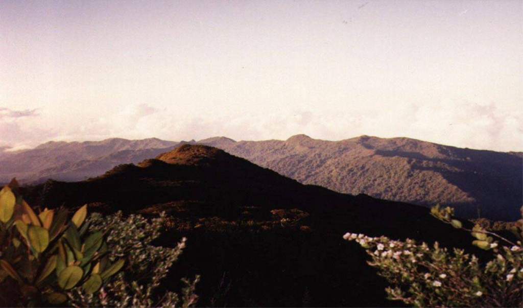 An overview of the highest peak in Peninsular Malaysia, the 2,187m Gunung Tahan.