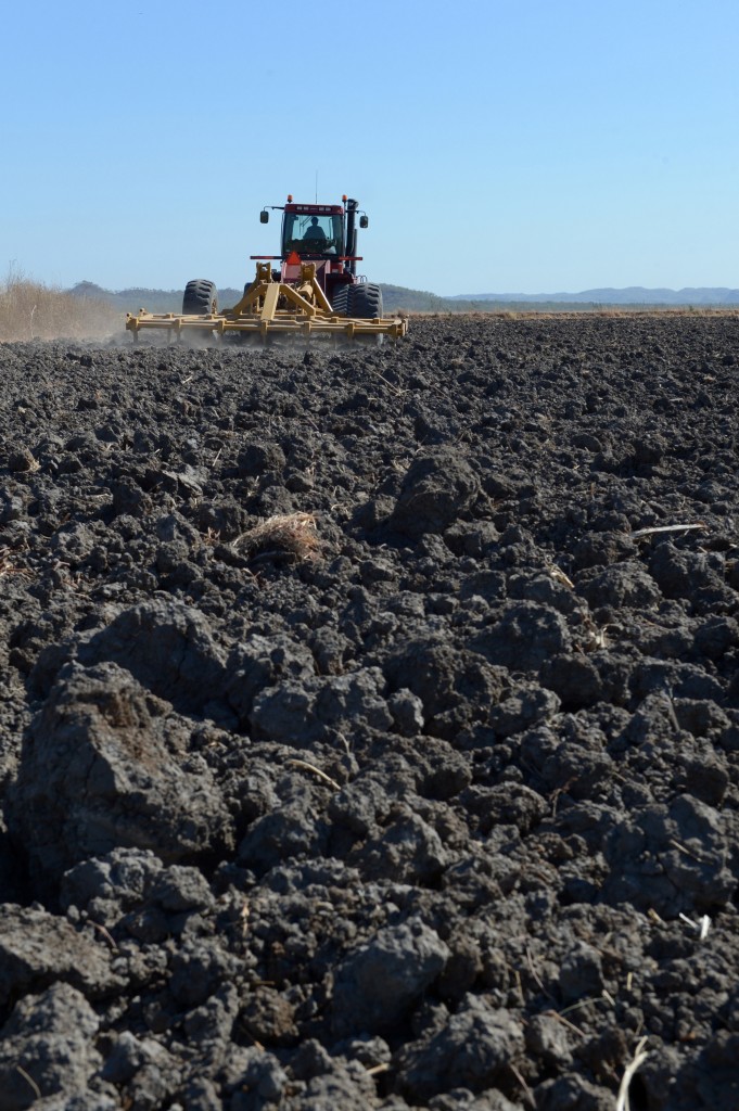 Shanghai Cop Grows Superfood in Oz Outback for China's Hipsters