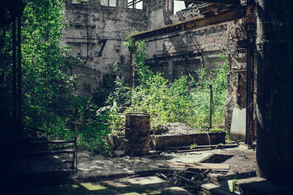 Photo by Denny Müller on Unsplash.