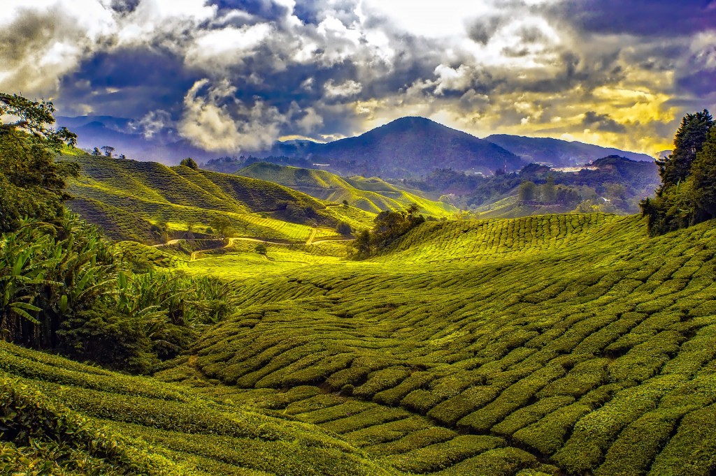 Malaysia_landscape