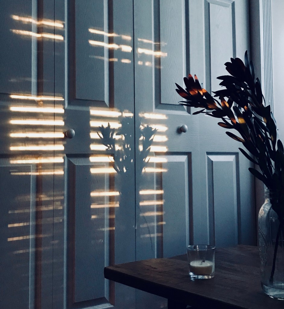 Photo by dreamleigh on Unsplash.