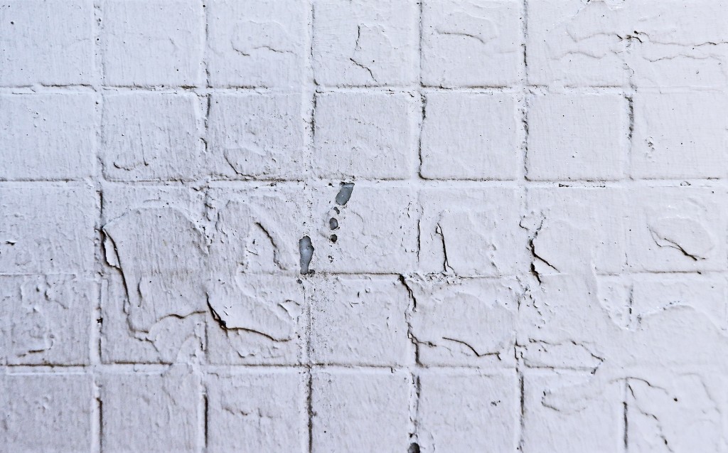 Photo by Andrew Buchanan on Unsplash.