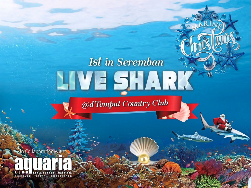 Matrix Concepts in collaboration with Aquaria KLCC, is presenting the first Marine Christmas at d'Tempat Country Club from 3pm to 10pm every weekend from Dec 7 to 29.