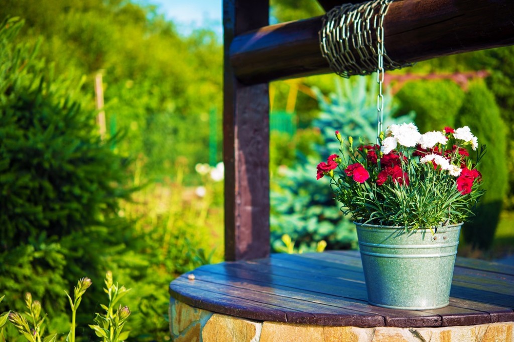 Flowers Bucket on a Well