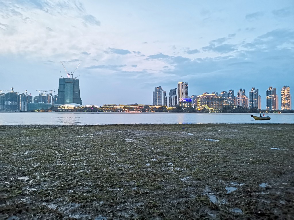 The seagrass meadow opposite FC International Phoenix Marina Hotel is visible at low tide.