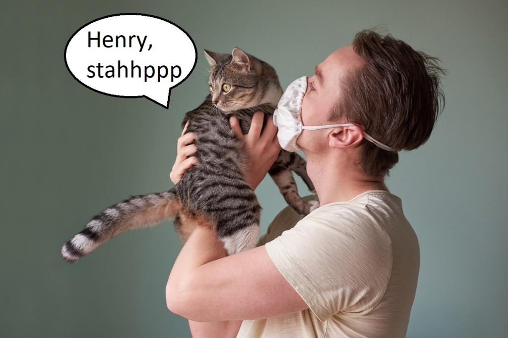 Wuhan virus transmission