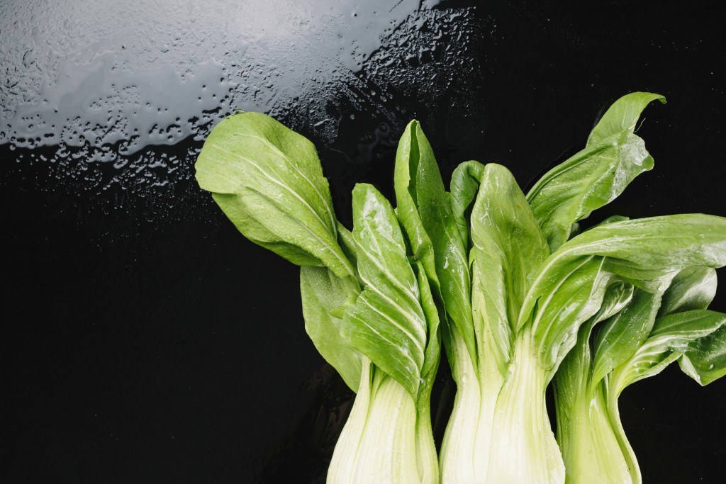 how to grow bok choy at home
