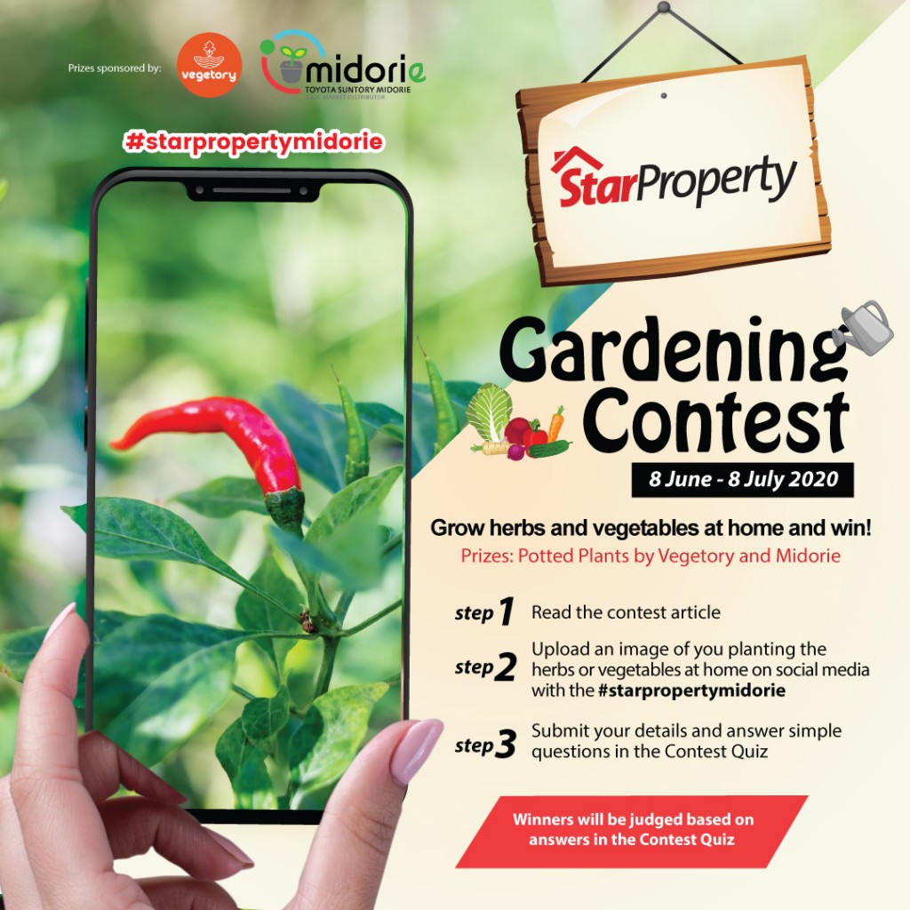 starproperty midorie malaysia and vegetory gardening contest