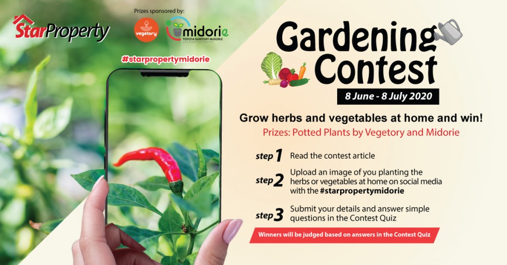 Link to Contest Quiz: https://bit.ly/StarPropertyMidorie 