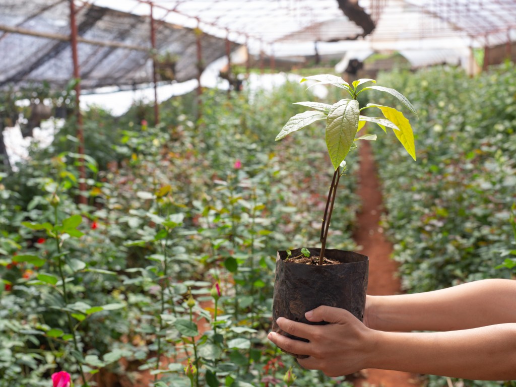 Upscaling Your Landscape Like A Pro