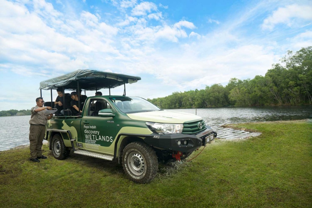 Experience raw and rustic journey into Paya Indah Discovery Wetlands through Safari rides.