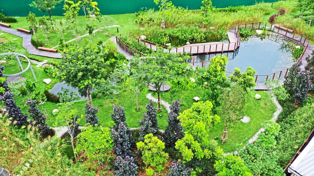 Aerial view of the wetlands.
