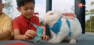 SDP invites Malaysians to celebrate Year of the Rabbit with campaigns at its townships, leisure and retail venues. 