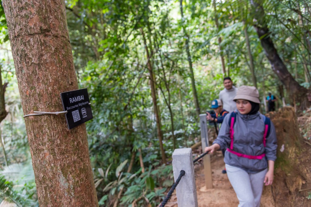 Entry into the newly-opened KL East Park is free until Aug 31 this year.
