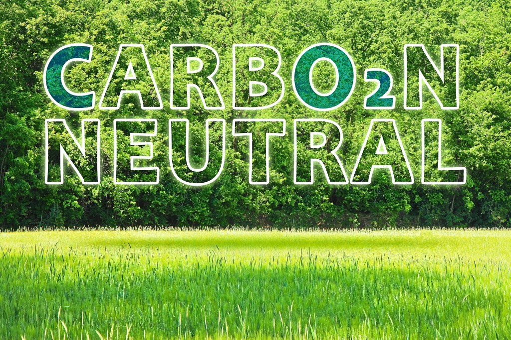 European Union sets new climate law: net-zero emissions are now a target for 2050 - Carbon Neutrality concept against a woodland background