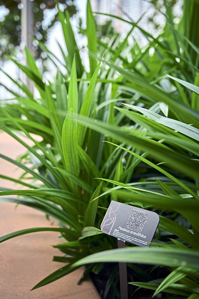 Residents can enjoy nature and educate themselves on the plants available at the My Home Garden using the QR Codes available.