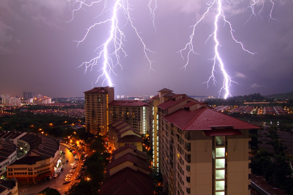 21316764_l_normal_nonea