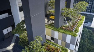 Novum’s Sky Gardens are not only a green haven for residents but also provide cool air flowing into the building.